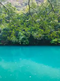 荔波小七孔｜把季節藏進碧綠詩行裡