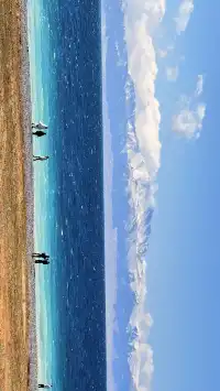 16pro 賽里木湖原圖直出