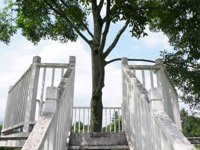 Right at Qingcheng Mountain in Chengdu, I finally stayed at the hotel I’ve been wanting to visit so  Right at Qingcheng Mountain in Chengdu, I finally stayed at the hotel I’ve been wanting to visit so
