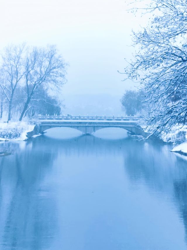 雪中玄武湖 雪中玄武湖