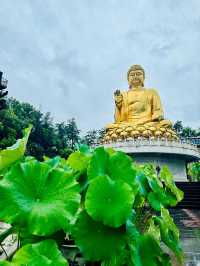 重慶華巖寺攻略｜0元解鎖禪意慢生活