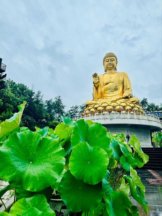 重慶華巖寺攻略｜0元解鎖禪意慢生活