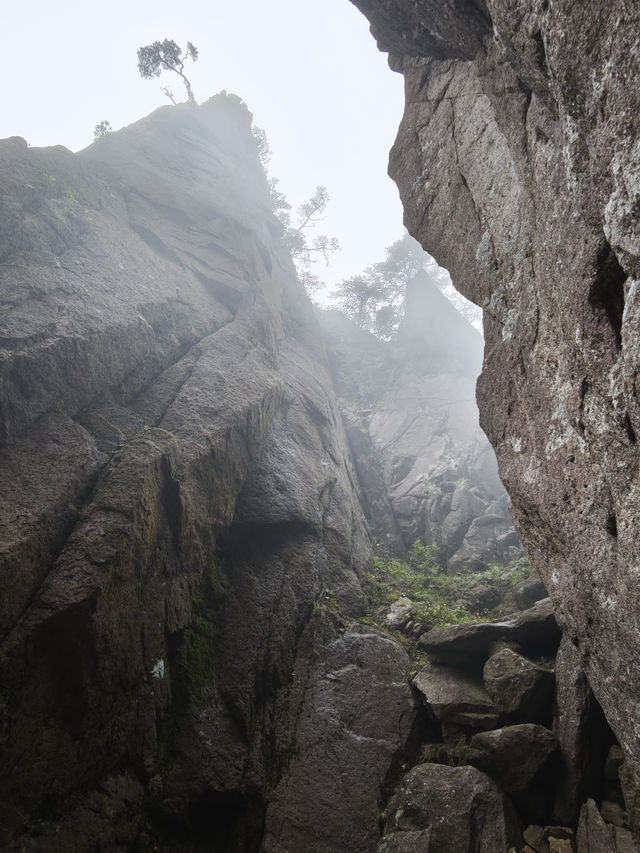 黃山+太平湖