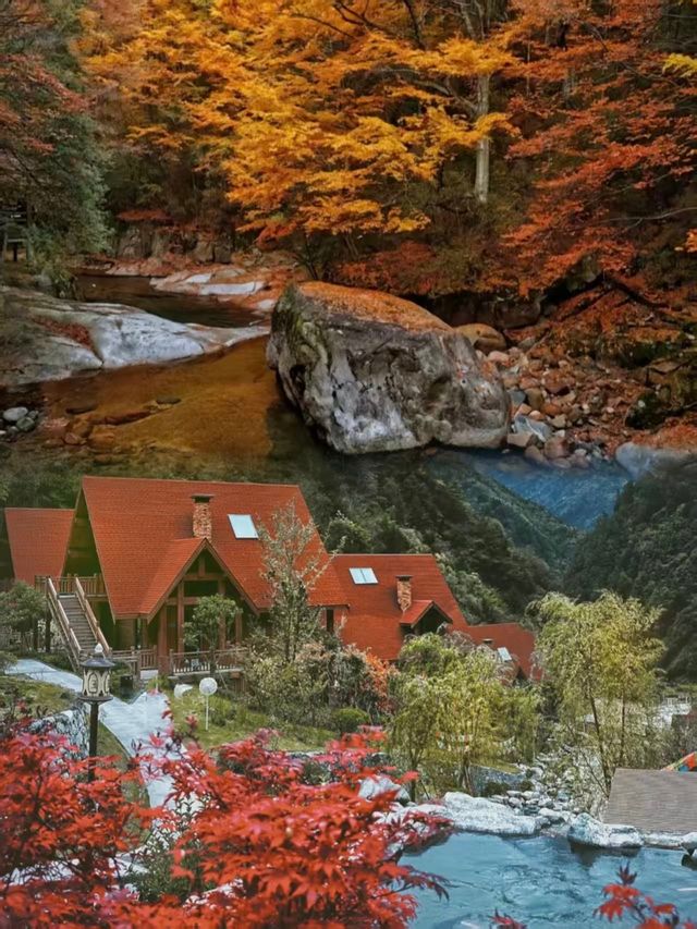別卷國外了!四川光霧山,藏著中國紅葉的「天花板」 別卷國外了!四川光霧山,藏著中國紅葉的「天花板」