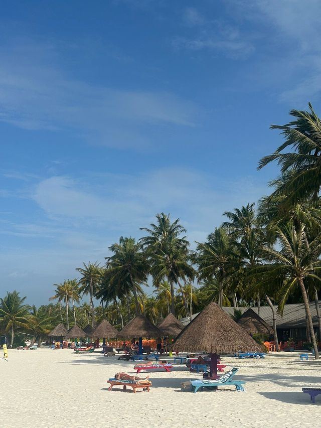 Exceptional Resort Experience Exceptional Resort Experience