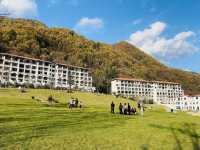 當秦嶺的蒼翠與意大利托斯卡納的浪漫撞個滿懷