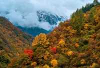 免費小眾景點平武白馬沿途風景--邂逅綠水藍天彩林雪山