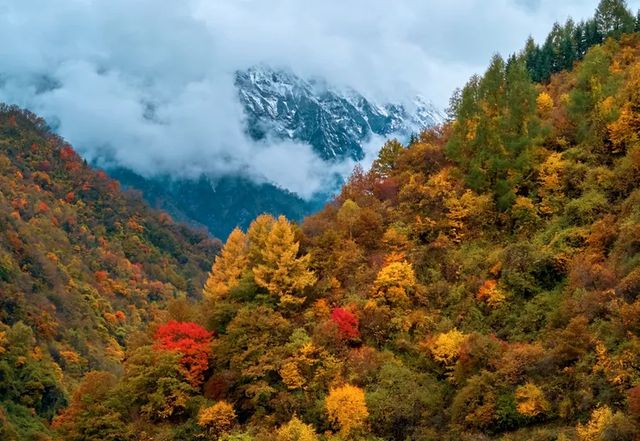 免費小眾景點平武白馬沿途風景--邂逅綠水藍天彩林雪山 免費小眾景點平武白馬沿途風景--邂逅綠水藍天彩林雪山
