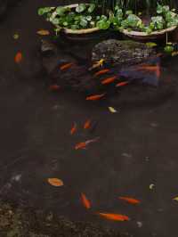 紹興府山公園｜穿越2500年的江南時光機