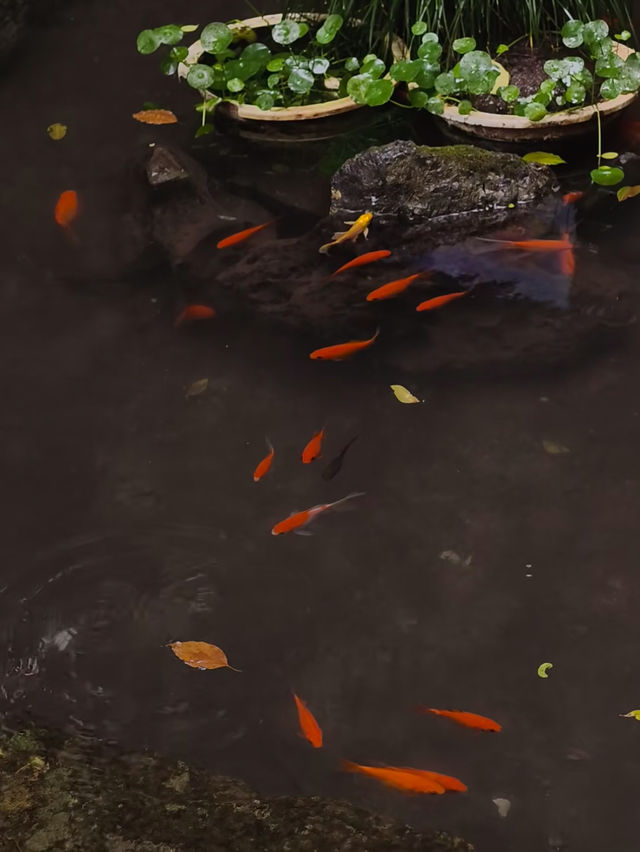 紹興府山公園｜穿越2500年的江南時光機