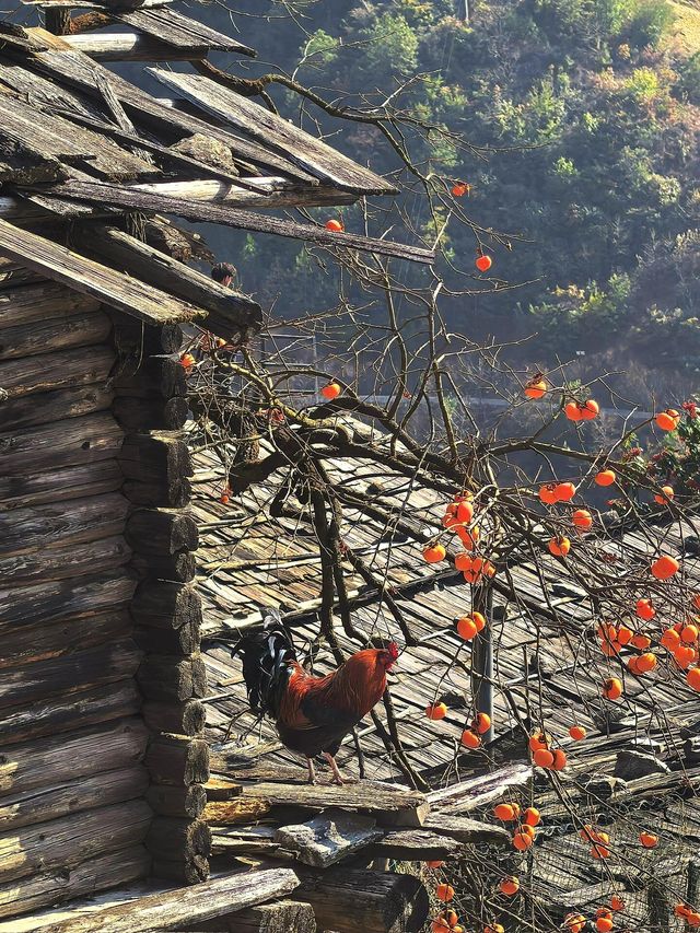 傈僳族古寨的千年密碼與秘境指南 傈僳族古寨的千年密碼與秘境指南