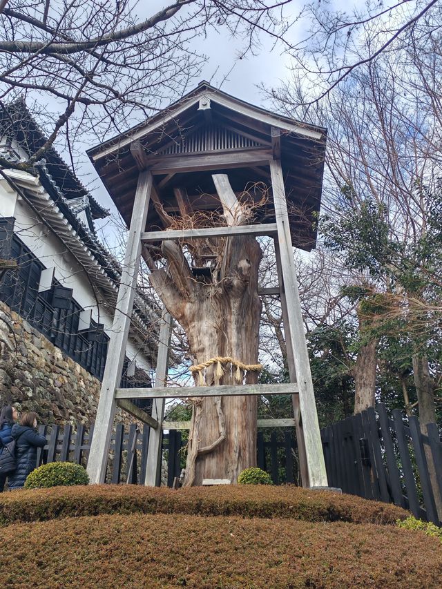 名古屋周邊一日遊～犬山城