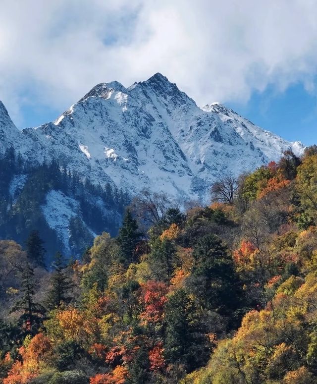 藏在川北的秘境！平武彩林+古寨+瀑布，5天承包深秋浪漫