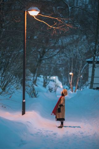 Lake Shikotsu Ice and Snow Secret Realm | Hokkaido's Hidden Boutique Paradise