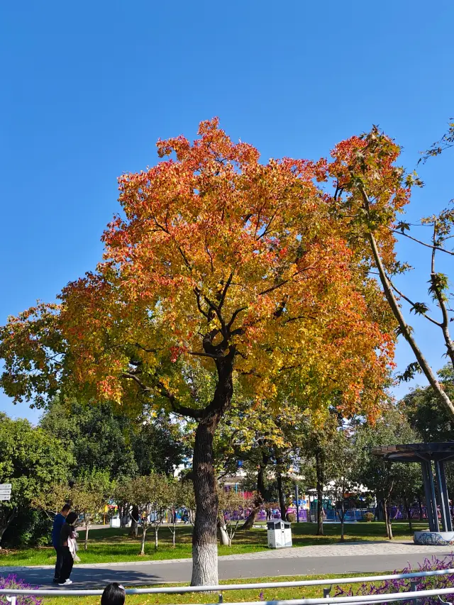 南京最美好的東西都是免費的~