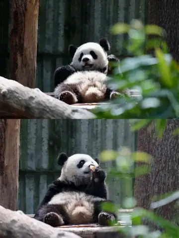 A Dreamy Date with the National Treasure