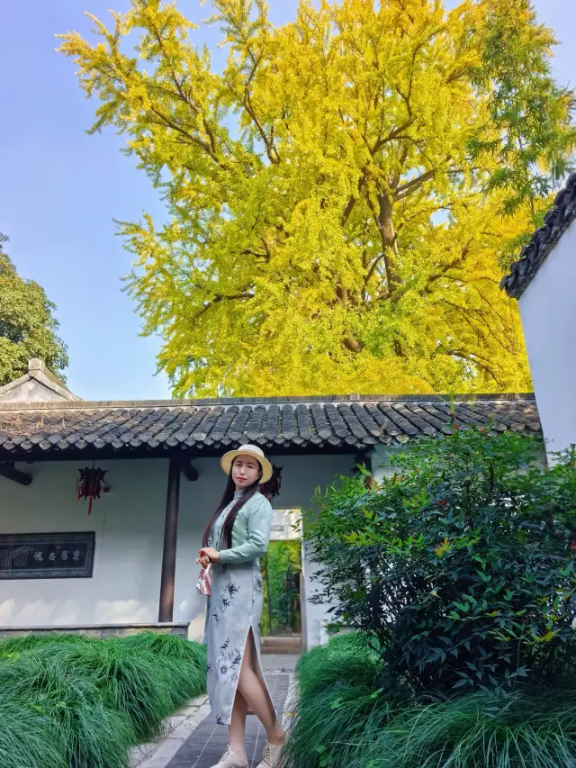 I was amazed by the ginkgo trees at Shigongci in Yangzhou during my trip