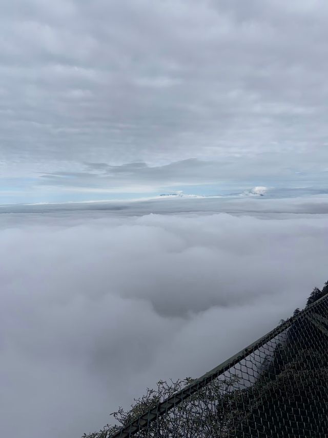 瓦屋山秋冬逃票攻略！免費期衝啊 