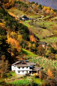 這裡的秋色不等人