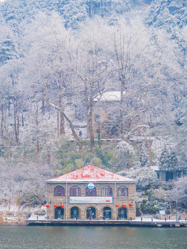 廬山的第一場霧淞好美！！