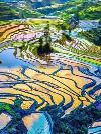 冬日逃離計劃|25℃滇東南小眾環線