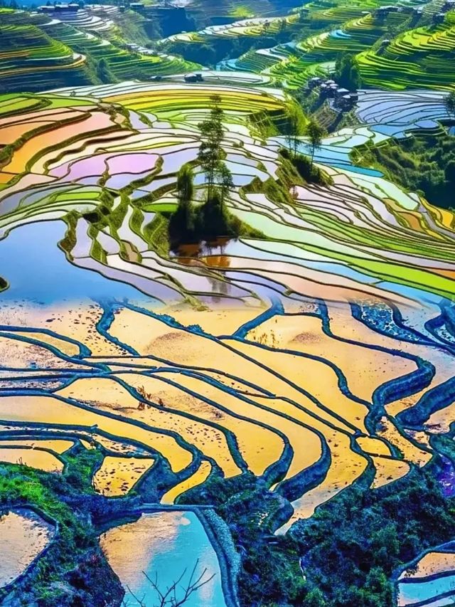 冬日逃離計劃|25℃滇東南小眾環線