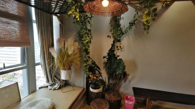 景德鎮寶藏民宿人均百元住進人民廣場C位