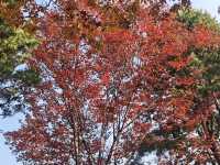 高效打卡經典路線，親測不踩雷！