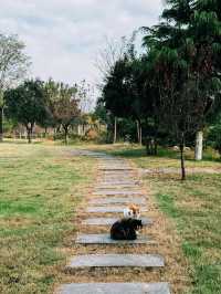 逃離鄭州天花板!登封24小時治癒之旅