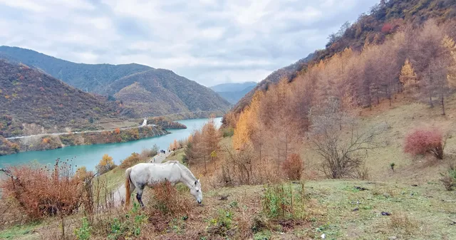 親子徒步綿陽平武白馬天母湖胡家溝 親子徒步綿陽平武白馬天母湖胡家溝