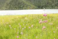 香格里拉攻略｜缺氧但不缺信仰，3天2夜玩轉人間仙境！