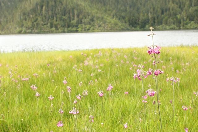 香格里拉攻略｜缺氧但不缺信仰，3天2夜玩轉人間仙境！