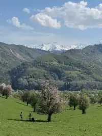 新疆伊犁隱藏的「神仙莊園」！住進油畫裡