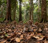 4天玩轉安順等地攻略直接抄作業