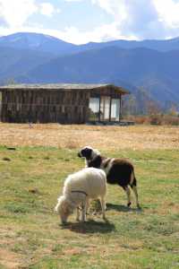 山海間的度假秘境