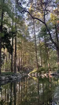 上海植物園！藏在市區的森林秘境