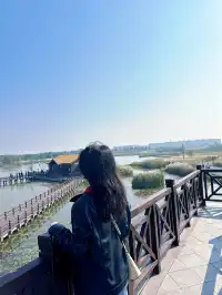 杭州灣濕地公園——承包我對秋冬的所有浪漫