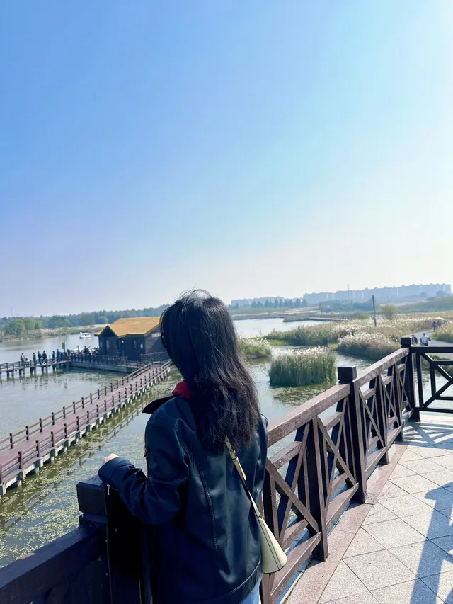 杭州灣濕地公園——承包我對秋冬的所有浪漫 杭州灣濕地公園——承包我對秋冬的所有浪漫