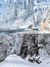 廣東人冬日狂歡!6大超近霧淞賞雪地攻略