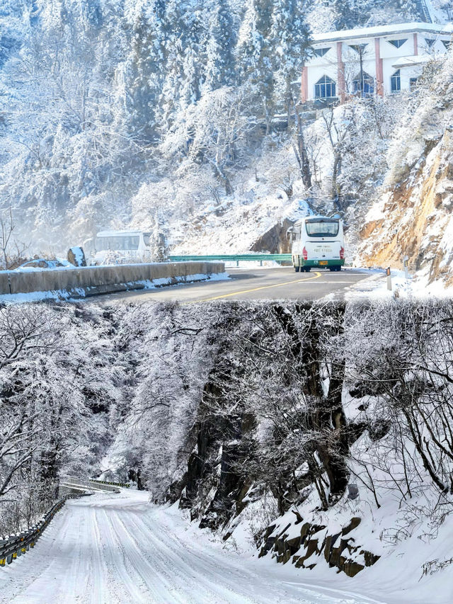 廣東人冬日狂歡!6大超近霧淞賞雪地攻略 廣東人冬日狂歡!6大超近霧淞賞雪地攻略