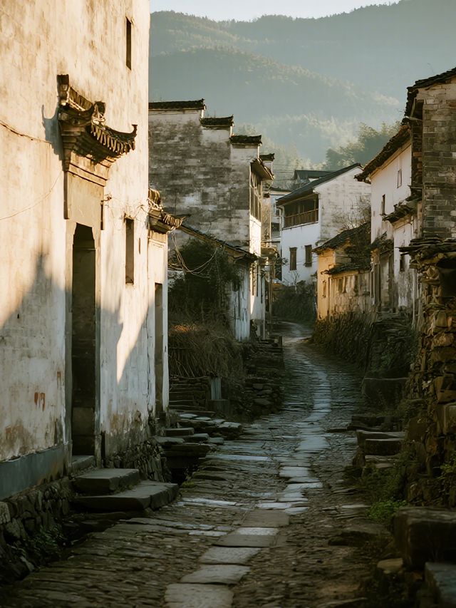 千年古道親子行!箬嶺古道秋日徒步,帶娃賞皖南彩林 千年古道親子行!箬嶺古道秋日徒步,帶娃賞皖南彩林