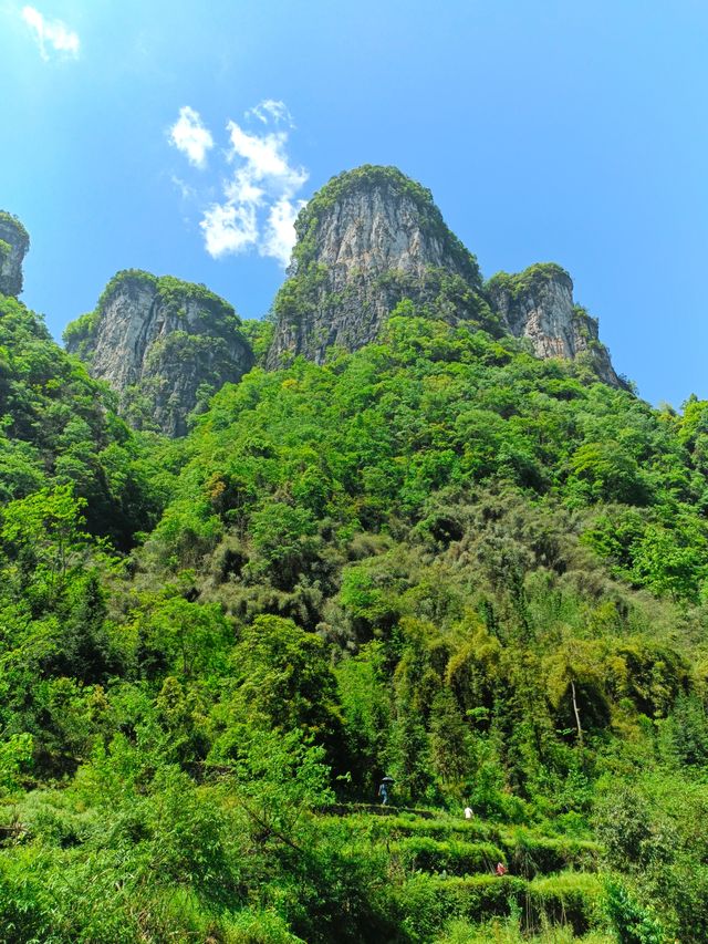 德夯,苗語的音譯,意思為「美麗的峽谷」。 德夯,苗語的音譯,意思為「美麗的峽谷」。