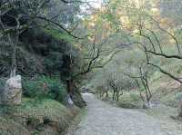 秋日步行路線推薦梅關古道