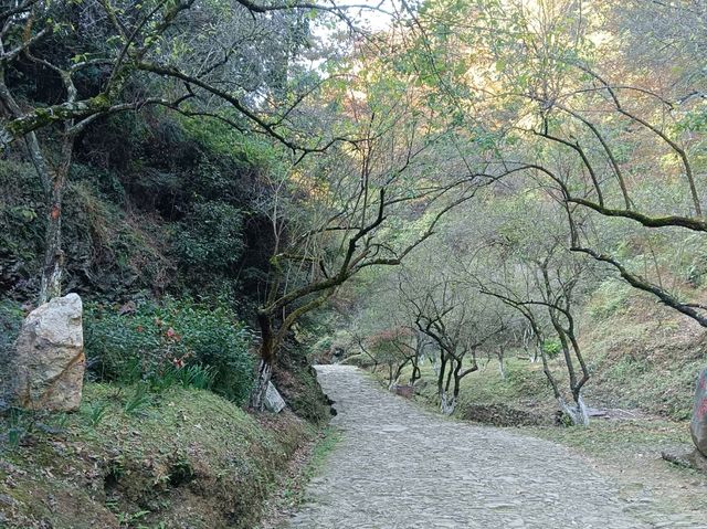秋日步行路線推薦梅關古道