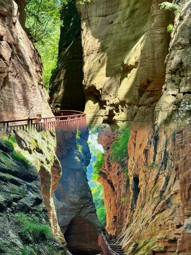 【破產5A景區鳳凰涅槃！峽谷秘境玩法全解鎖】