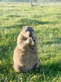 新都橋秋日攝影天花板