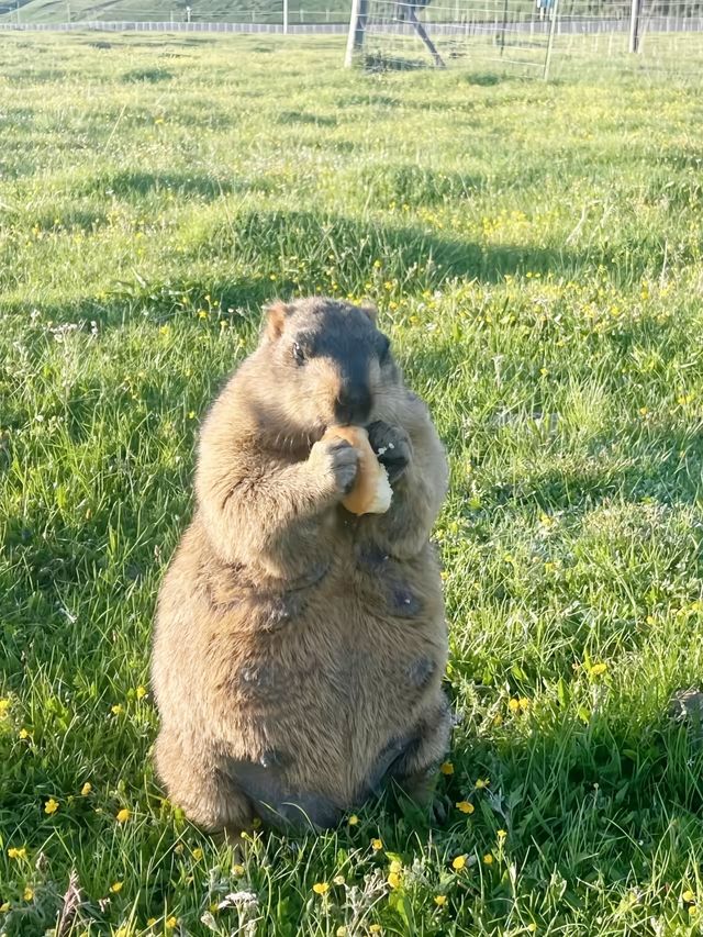 新都橋秋日攝影天花板 新都橋秋日攝影天花板