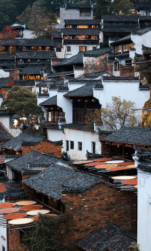 誰懂啊！篁嶺的絕美夜景才是YYDS