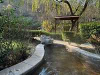 泰安人私藏溫泉!泰山腳下泡湯治癒全攻略