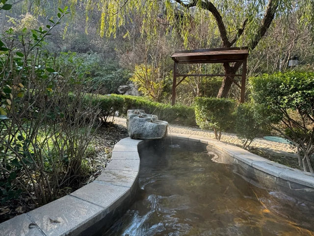 泰安人私藏溫泉!泰山腳下泡湯治癒全攻略 泰安人私藏溫泉!泰山腳下泡湯治癒全攻略